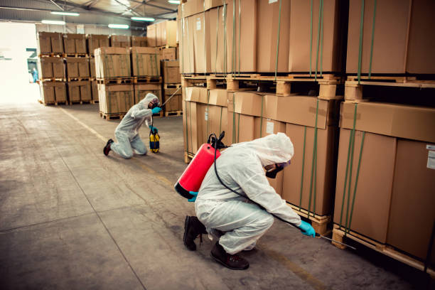 Best Wasp Removal Services  in Artondale, WA