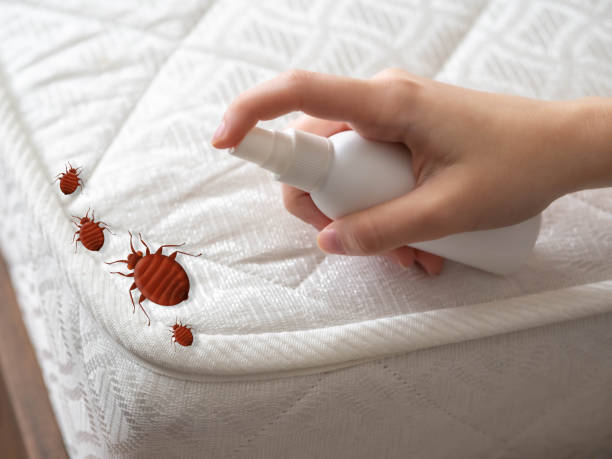 Best Exterminator Services  in Artondale, WA