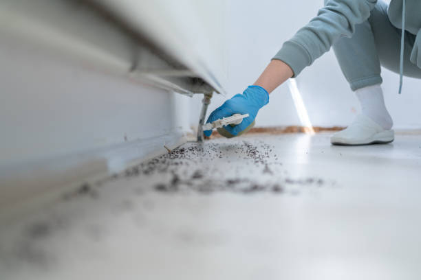 Best Pest Inspection Near Me  in Artondale, WA